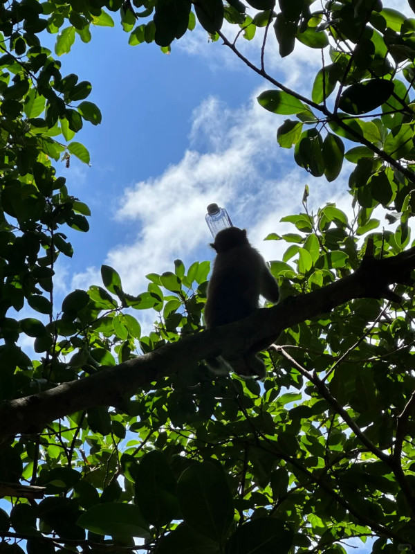 深圳行山新手及老手五大好去處! 飽覽無敵大海景、城市天際線