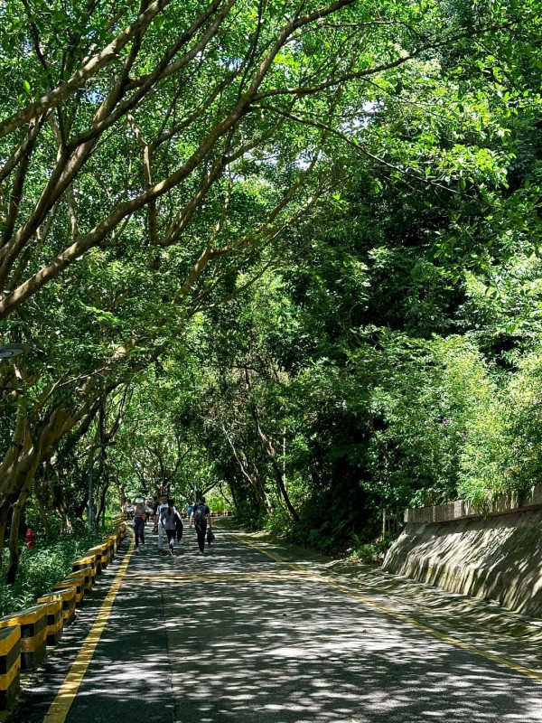 深圳行山新手及老手五大好去處! 飽覽無敵大海景、城市天際線