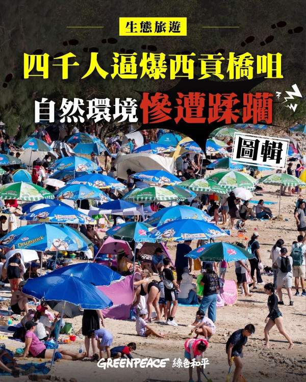十一假期逾4000遊客逼爆西貢橋咀！活捉海星海膽+亂拋垃圾+違法生火煮食！網民：要設立入場管制