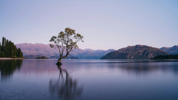 （圖片︰unsplash）