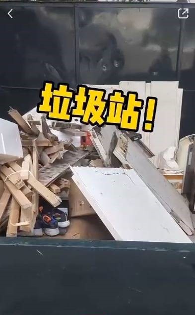 小紅書影片截圖