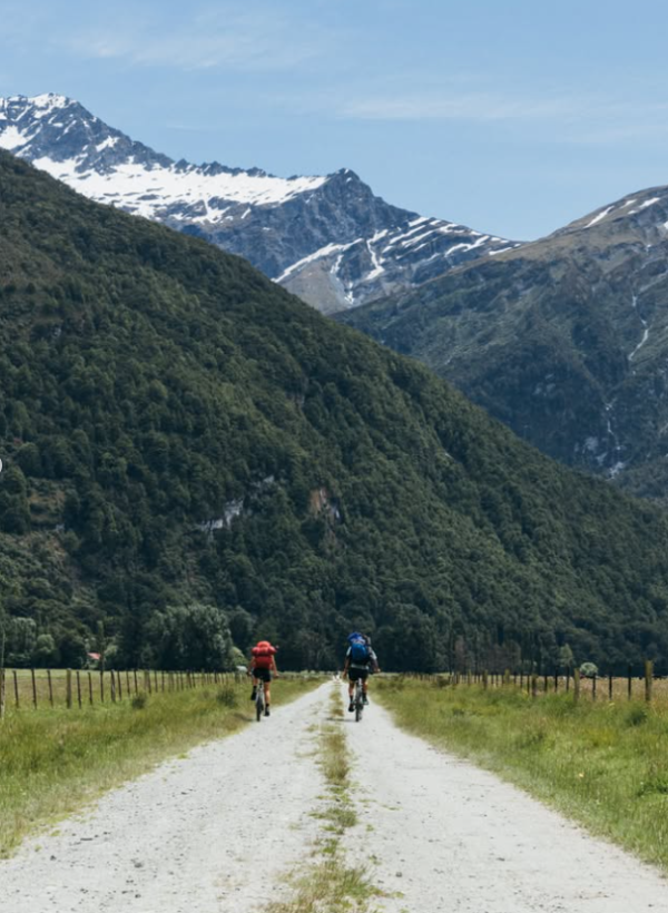 (圖片︰IG@lakewanakanz)