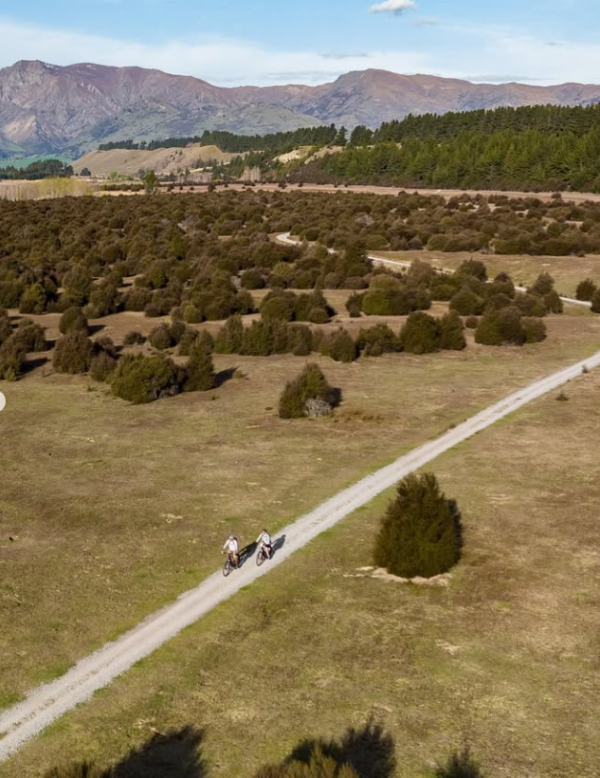 (圖片︰IG@lakewanakanz)