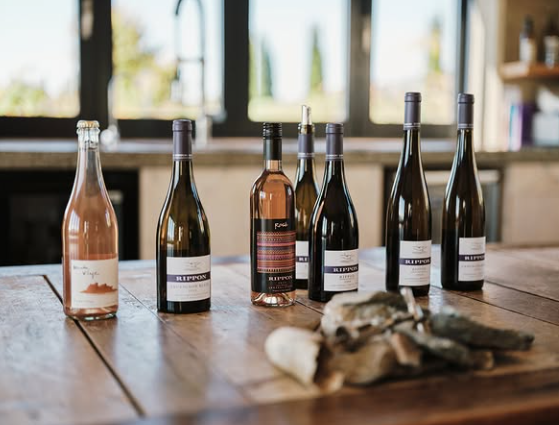 (圖片:IG@ripponvineyard)