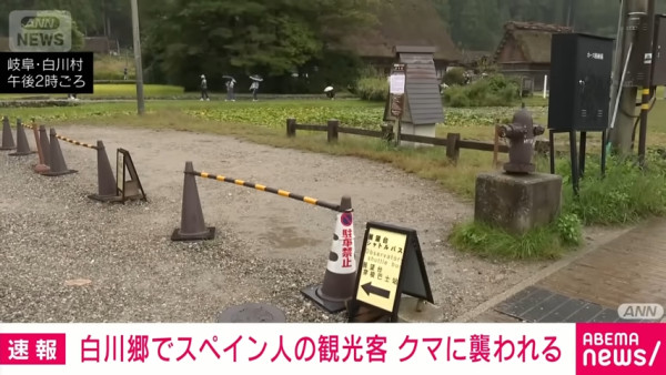 日本著名旅遊地驚現黑熊襲擊旅客 熊出沒目擊數量飆升 專家建議3招自保 