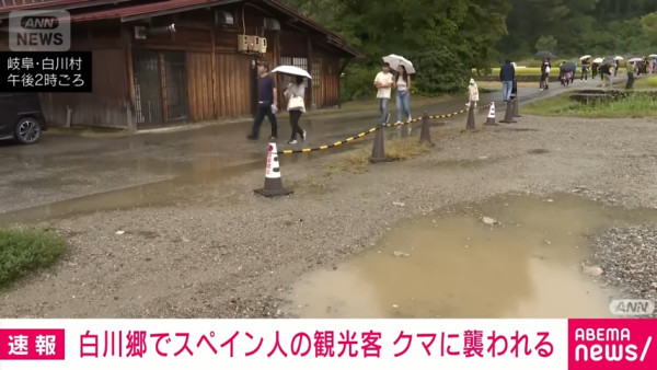 日本著名旅遊地驚現黑熊襲擊旅客 熊出沒目擊數量飆升 專家建議3招自保 