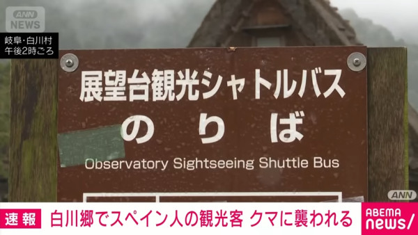 日本著名旅遊地驚現黑熊襲擊旅客 熊出沒目擊數量飆升 專家建議3招自保 