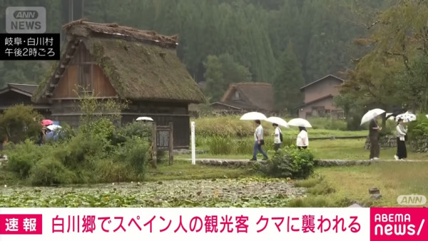 日本著名旅遊地驚現黑熊襲擊旅客 熊出沒目擊數量飆升 專家建議3招自保 