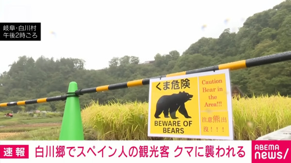 日本著名旅遊地驚現黑熊襲擊旅客 熊出沒目擊數量飆升 專家建議3招自保 