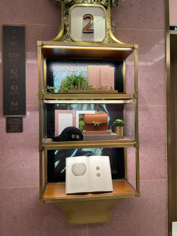 內地女香港K11搭𨋢呻當場變小丑!網民共鳴第1次去要考腦解謎