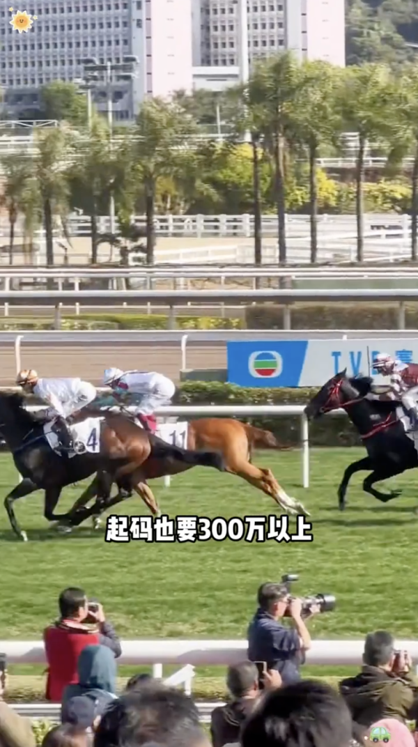 他指出香港養馬並不便宜，直言「養隻馬至少要300萬元」。（截圖：小紅書）