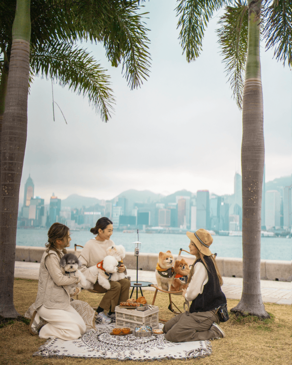 香港假日好去處2025｜9個朋友聚會好去處 劇本殺/野餐/露營地點推介