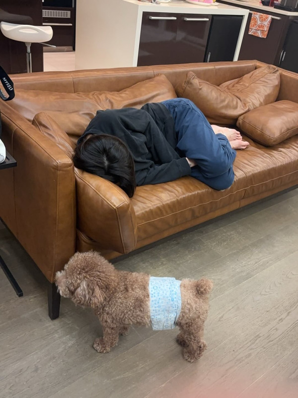裕美北上過中秋食物中毒急返港入醫院 卧床照曝光獲林作媽媽悉心照顧