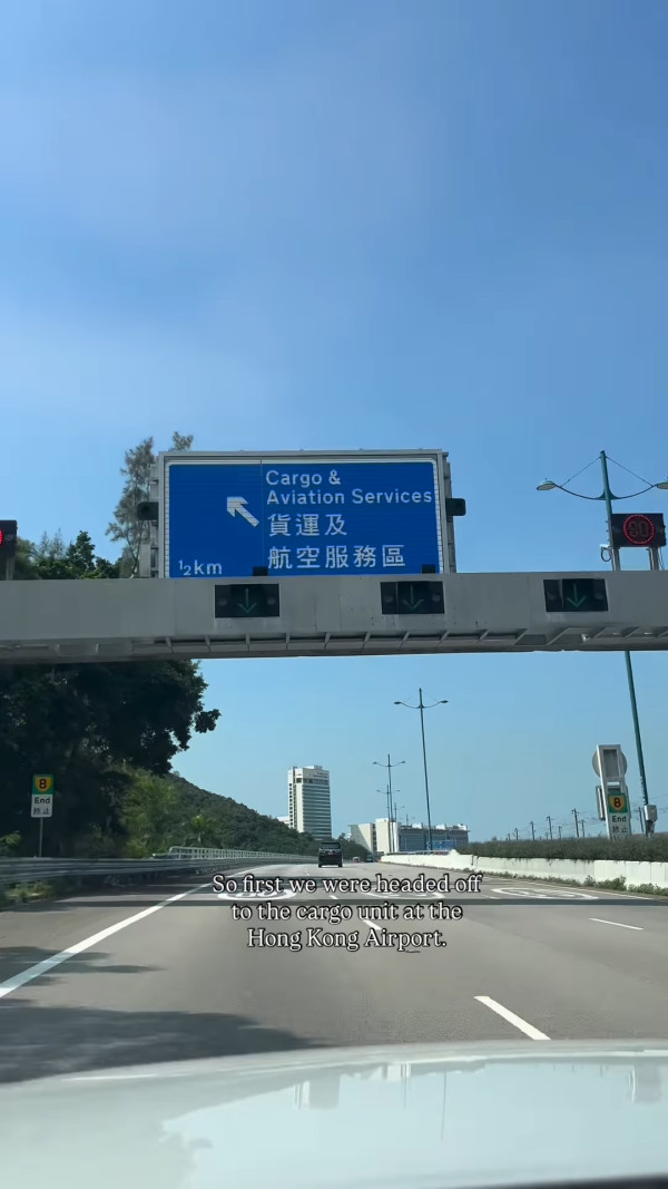 前港姐冠軍驚爆健康問題走出低潮 家人愛犬先後離世一度大受打擊