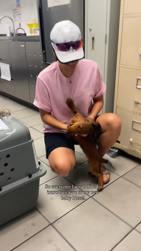 前港姐冠軍驚爆健康問題走出低潮 家人愛犬先後離世一度大受打擊