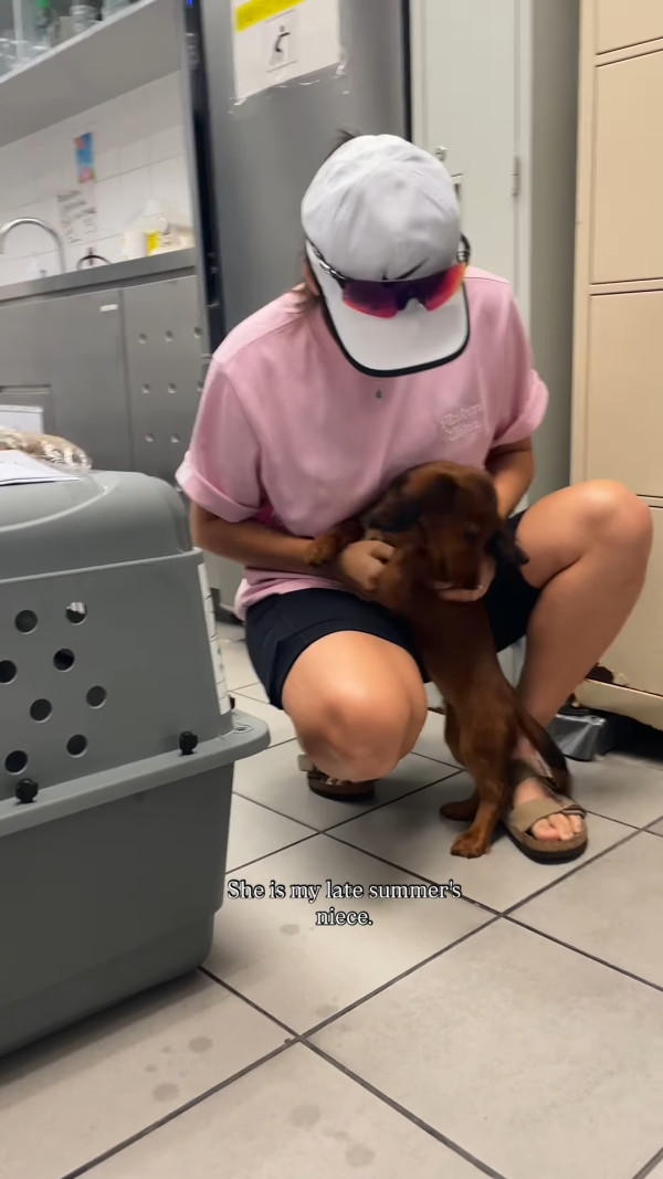 前港姐冠軍驚爆健康問題走出低潮 家人愛犬先後離世一度大受打擊