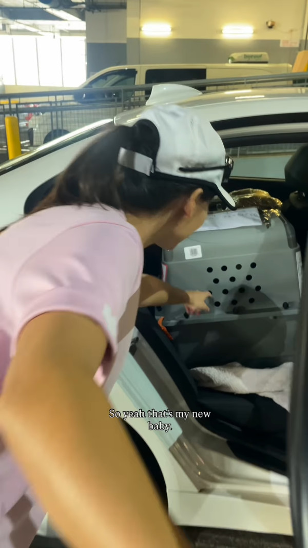 前港姐冠軍驚爆健康問題走出低潮 家人愛犬先後離世一度大受打擊