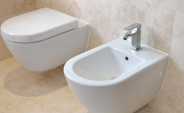 酒店廁所為何有2個「馬桶」？內行人拆解「雙馬桶」之謎背後原因貼心 