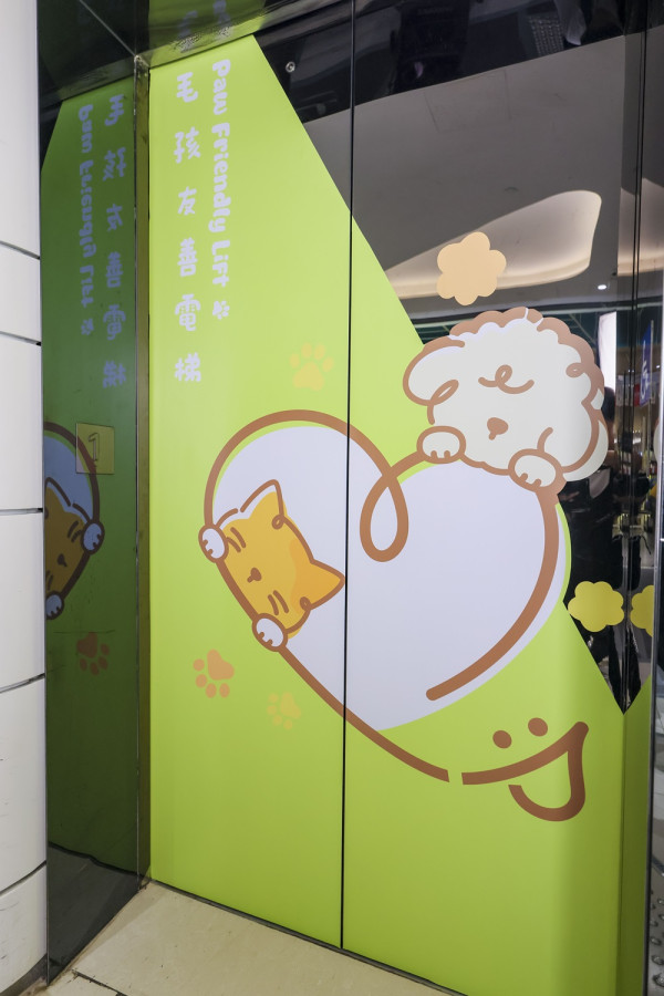 【毛孩周末好去處】青衣城「青新貓狗樂園」登場 最後機會玩轉寵物市集！