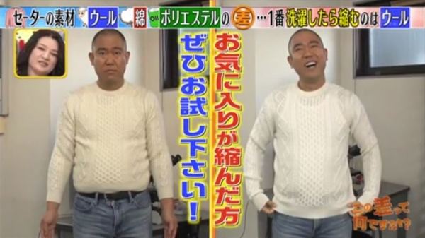 （圖片來源︰日本電視節目《この差って何ですか？》）
