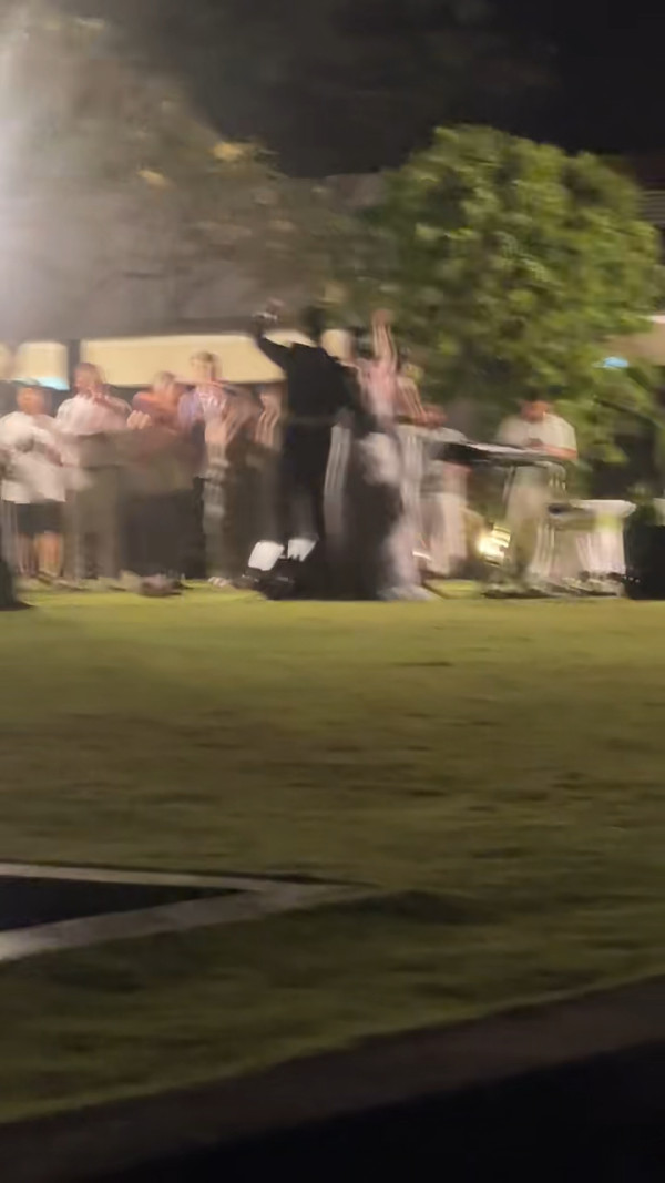 莊思敏婚禮現場相片曝光超Deep V搏到盡 16字回應老公高級督察身份