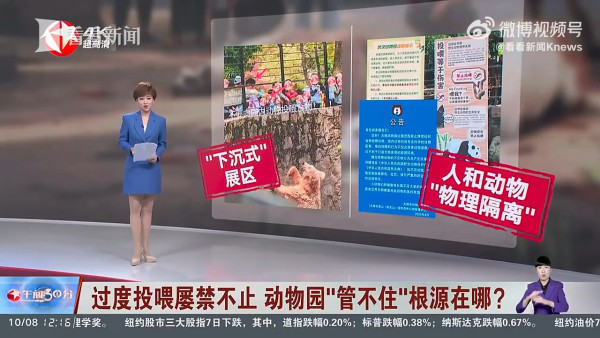 內地客遊動物園行為失控 草泥馬鼻孔被硬塞胡蘿蔔倒地翻白眼