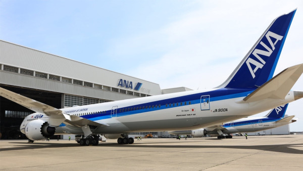 ANA客機乘客尿袋自燃起火冒煙 日本航班行動電源5大限制 這容量尿袋最多帶2個