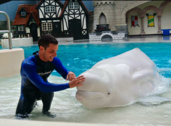 （圖片︰X@MarinelandCan）