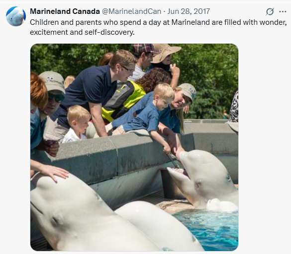 （圖片︰X@MarinelandCan）
