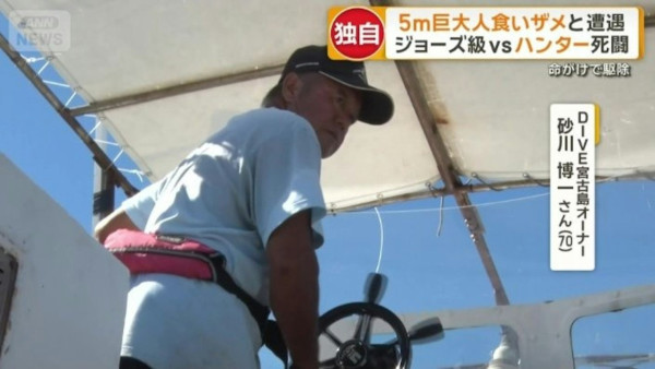 遊日注意!沖繩宮古島驚現5米鯊魚 肚藏數十幼鯊!旅客擔憂安全
