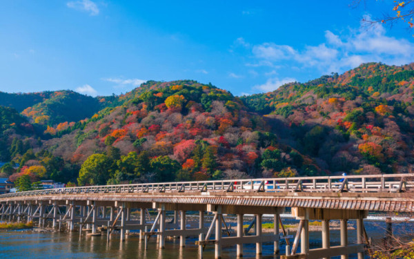 睽違四年！京都「嵐山月燈路」夢幻回歸10月限定 一公里浪漫竹林小徑 