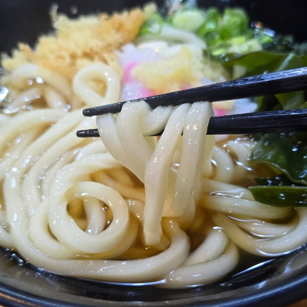 鰹烏冬逆市擴充開第6分店 再次插旗新界區！手打讚岐烏冬＋爆汁骨付雞