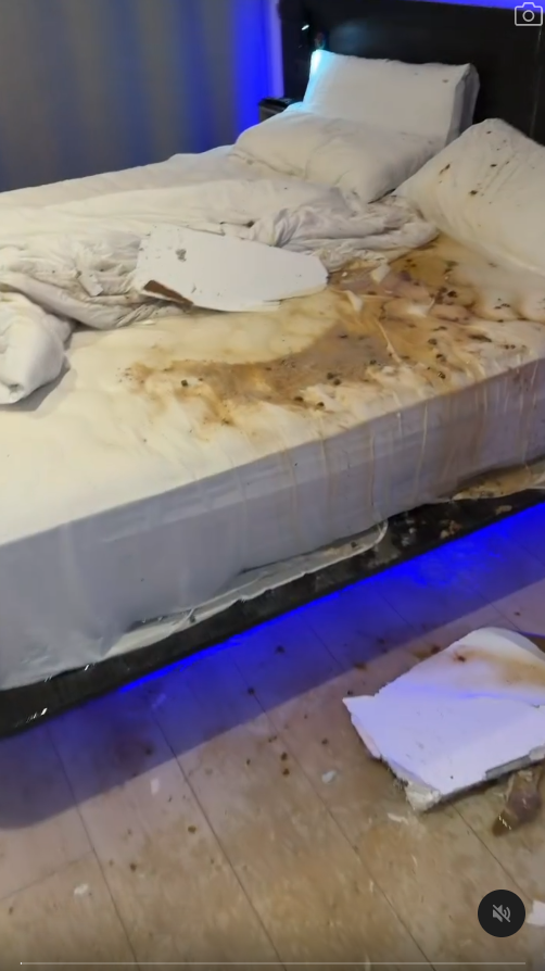 旅客歐遊住酒店天花板竟漏屎 報銷逾3萬財產 網民幽默:至少不是睡覺時