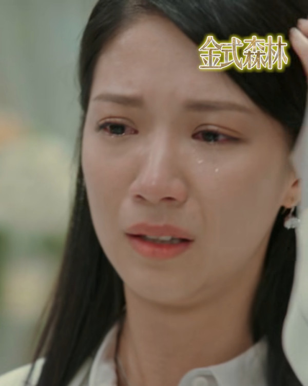 金式森林｜演員陣容/角色介紹/人物關係 三屆視帝郭晉安 陳曉華入行7年考牌作