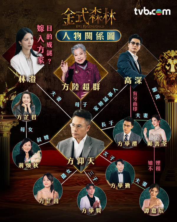 金式森林｜演員陣容/角色介紹/人物關係 三屆視帝郭晉安 陳曉華入行7年考牌作