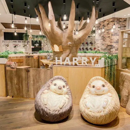 日本cafe 2025｜7間東京動物cafe推介 與超萌水獺/土撥鼠/薩摩耶互動 