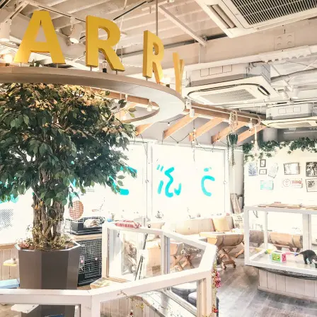 日本cafe 2025｜7間東京動物cafe推介 與超萌水獺/土撥鼠/薩摩耶互動 