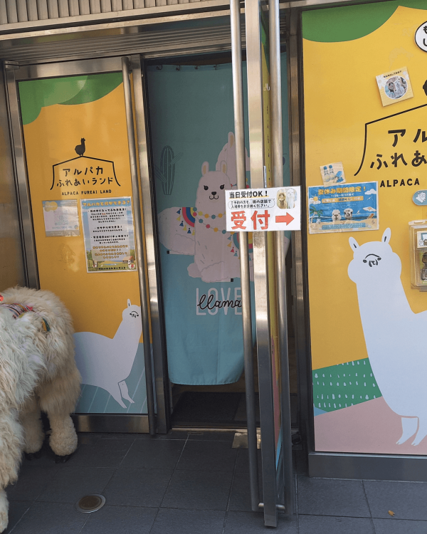 日本cafe 2025｜7間東京動物cafe推介 與超萌水獺/土撥鼠/薩摩耶互動 