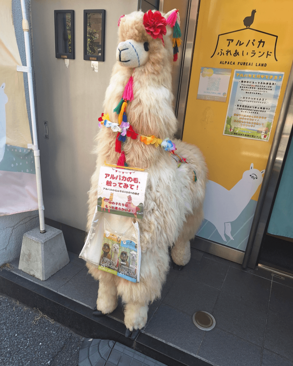 日本cafe 2025｜7間東京動物cafe推介 與超萌水獺/土撥鼠/薩摩耶互動 