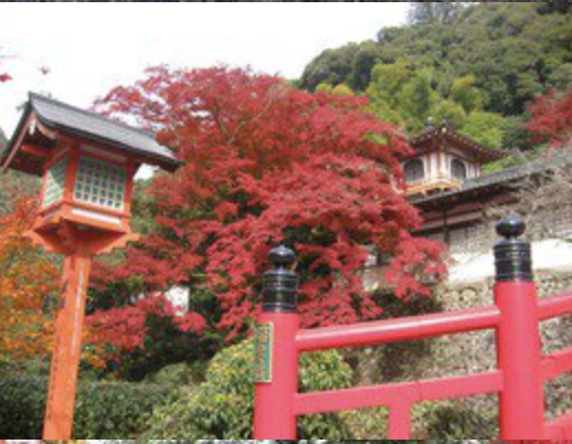 勝尾寺。圖片來源：Live Japan