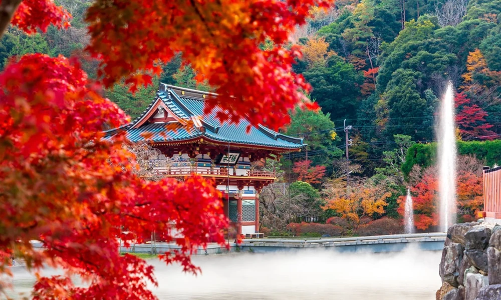 勝尾寺。圖片來源：勝尾寺官網