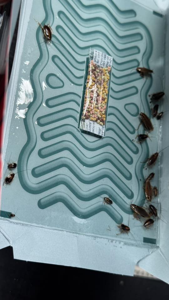 大媽手機太大聲滋擾車長駕駛 兩度企圖襲擊司機 車長8字真言相勸獲讚