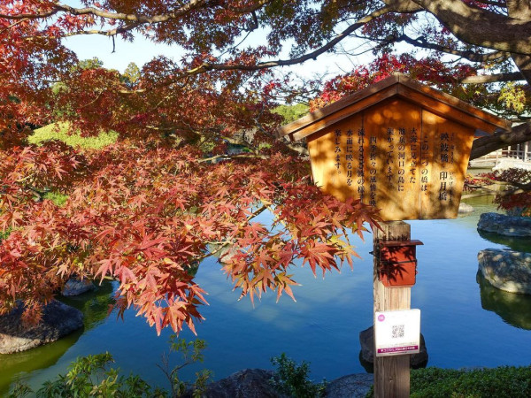 大仙公園。圖片來源：IG@dj_shin_japan