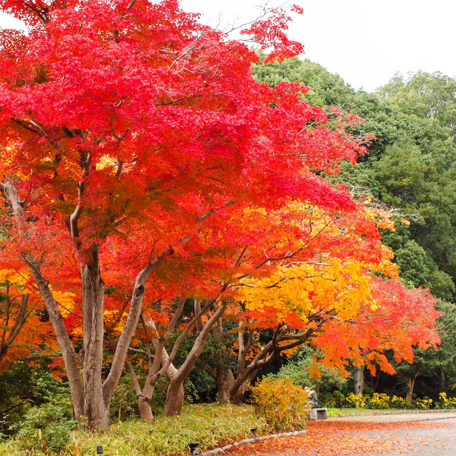 萬博紀念公園。圖片來源：萬博紀念公園Facebook