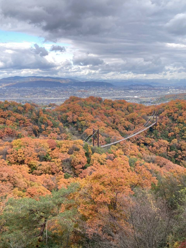 大阪府立森林星田公園。圖片來源：WalkerPlus