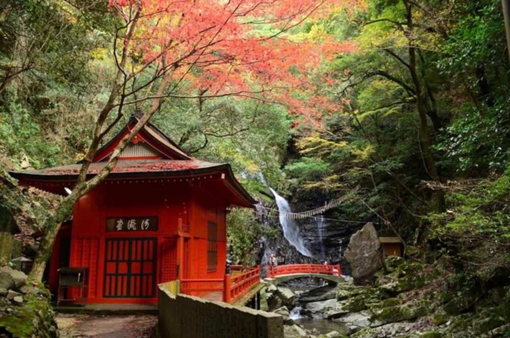 犬鳴山。圖片來源：WalkerPlus