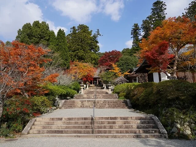 觀心寺。圖片來源：WalkerPlus