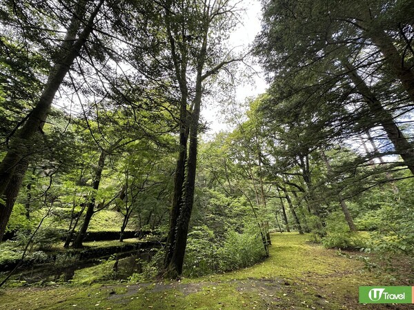 東京近郊輕井澤一日遊（韋珈萱 攝）