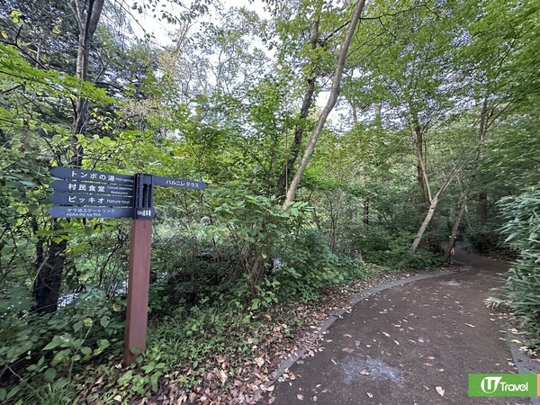 東京近郊輕井澤一日遊（韋珈萱 攝）