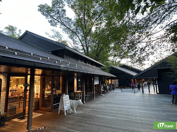 東京近郊輕井澤一日遊（韋珈萱 攝）